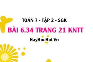 Bài 6.34 trang 21 Toán 7 Tập 2 Kết nối tri thức